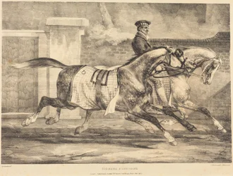 Cavalos a fazer exercício