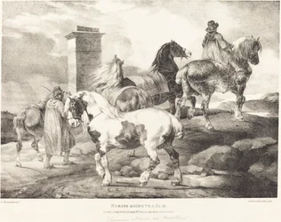 Cavalos indo para uma feira