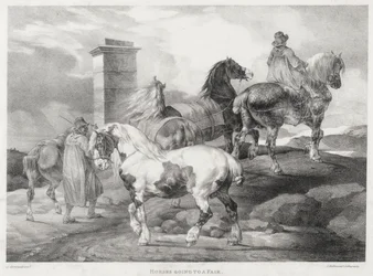 Cavalos a caminho de uma feira