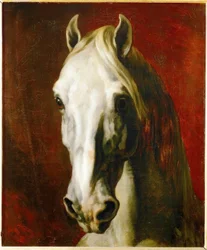 Cabeça de um cavalo tordo
