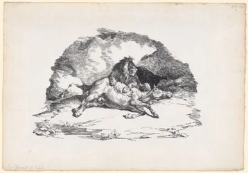 Leão a devorar um cavalo (A Lion Devouring a Horse)
