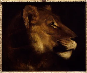 Lioness Head Painting de Theodore Gericault (1791-1824) Sol do século XIX. 0,55x0,65 m Paris, Musee du Louvre. - Cabeça de leoa. Pintura de Theodore Gericault (1791-1824)