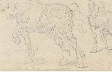 Estudos sobre cavalos