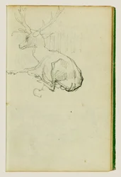 Veado sentado