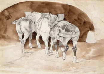 Três cavalos pesados em arreios (lavagem a lápis e sépia)