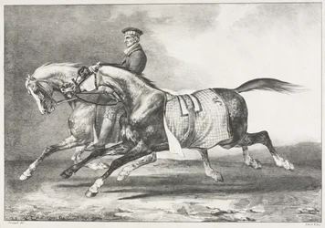 Exercício de dois cavalos malhados