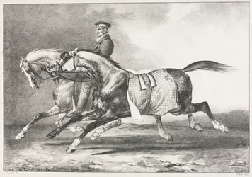 Exercício de dois cavalos manchados, 1822.