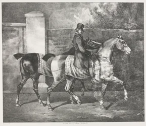 Dois cavalos exercitados por um jóquei