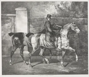 Dois cavalos a serem treinados por um jóquei