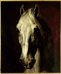 Cabeça de cavalo branco. Pintura de Théodore Géricault (1791-1824)