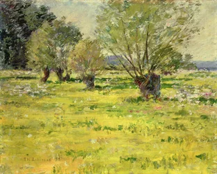 Primavera