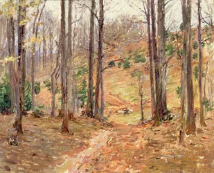 Virginia Woods, 1893