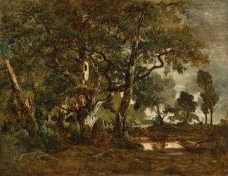 Floresta de Fontainebleau, aglomerado de árvores altas com vista para a planície de Clair-Bois no limite de Bas-Bréau