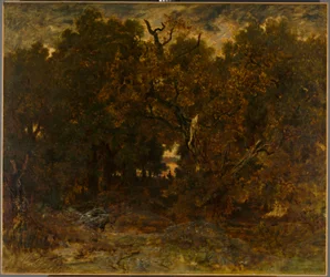 Saída da floresta, Fontainebleau: Sol poente