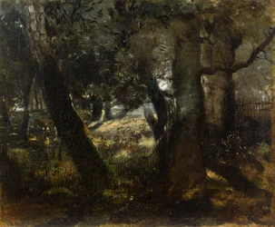 Faisão na Floresta de Compiègne