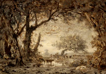Pôr do sol da floresta de Fontainebleau