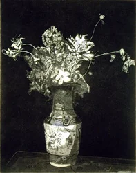 A Agonia das Flores