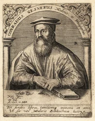 Conrad Gessner, médico suíço
