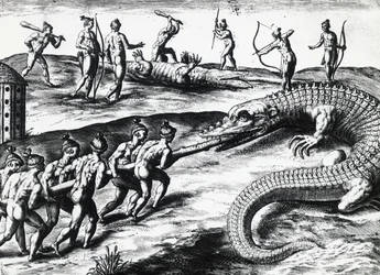 Caça ao crocodilo na Flórida, da pintura de Jacques le Moyne de Morgues (ca. 1533- antes de 1588), de Theodor de Bry (1528-1598). gravura