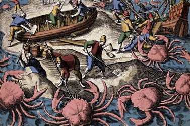 Navegadores europeus a lutar contra o caranguejo grande. Gravura de "Petities voyages aux Indes Orientales" de Theodore de Bry