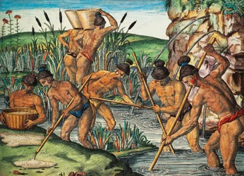 Cavadores de ouro na Flórida, gravura colorida de Theodor de Bry (1528-1598) de uma pintura de Jacques le Moyne de Morgues (ca. 1533 antes de 1588), de Brevis Narratio