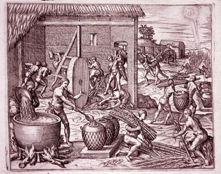 História da América: colheita de cana de açúcar e produção de açúcar por escravos indígenas que trabalham para os conquistadores espanhóis (Engraving
