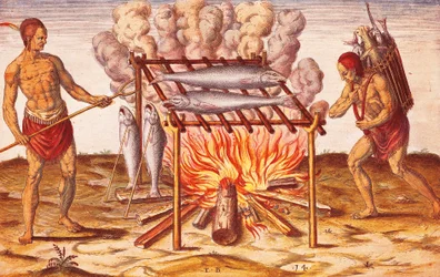 Vive um nativo: Como os índios cozinham peixe, Ilustração de Admiranda Narratio de Theodore De Bry