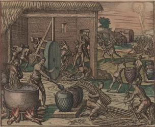 Escravos processam cana-de-açúcar e produzem açúcar, 1595.