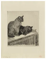 Dois gatos em uma mobília