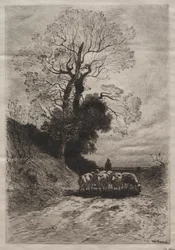 Retorno do rebanho