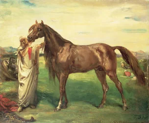 Hadji, um garanhão árabe, 1853