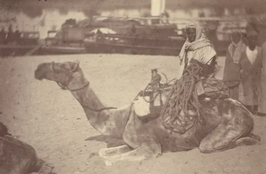 [ Um homem norte-africano num camelo na margem do Nilo].