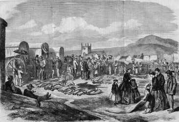 Mercado de marfim e peles em Grahamstown, Albânia, Colónia do Cabo
