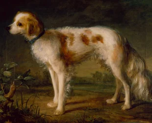 Um Spaniel em uma Paisagem (óleo)