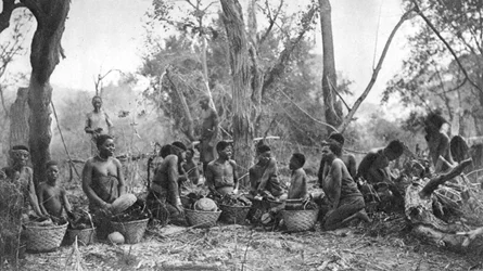Mulheres nativas com cestas de carne de hipopótamo, Karoo, África do Sul, 1924 1927