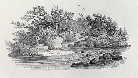 Uma Curva no Rio da &39;História das Aves Britânicas, Volume 2: Aves Aquáticas&39;, 1804