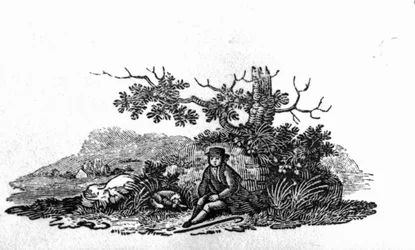 Homem sentado por uma árvore atrofiada de &39;História de aves britânicas e quadrúpedes&39;