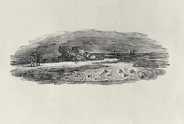 Rochas com navegação costeira, c. 1801, de &39;Water Birds&39;, publicado em 1804 (gravura em madeira)