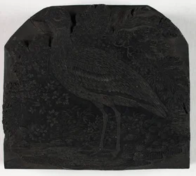 Woodblock para The Great Plover, de A History of British Birds