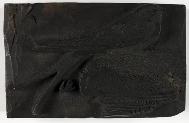 Woodblock para The Swallow, de A History of British Birds