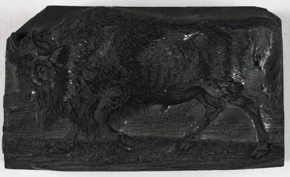 Woodblock para The Urus ou Wild Bull, de A General History of Quadrupeds