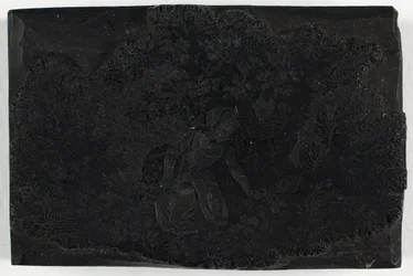 Woodblock para mulher colhendo flores