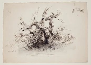 Troncos de árvores nodosas, c.1826 (caneta e tinta sobre grafite sobre papel)