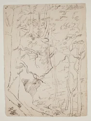 Kaaterskill Falls, c.1801-48 (caneta e tinta marrom)