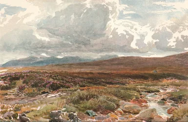 Um Sussex Common, c1889