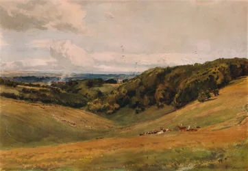 Parque Arundel, com veados, 1880