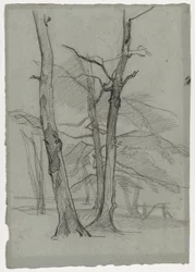Estudo da paisagem com árvores, c. 1870-1875.