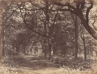 Cena de madeira, Norton, Cheshire, 1856.
