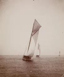 [Veleiros].