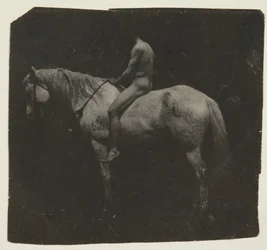 Cavalo Billy de Samuel Murray Astride Eakins, c. 1892.